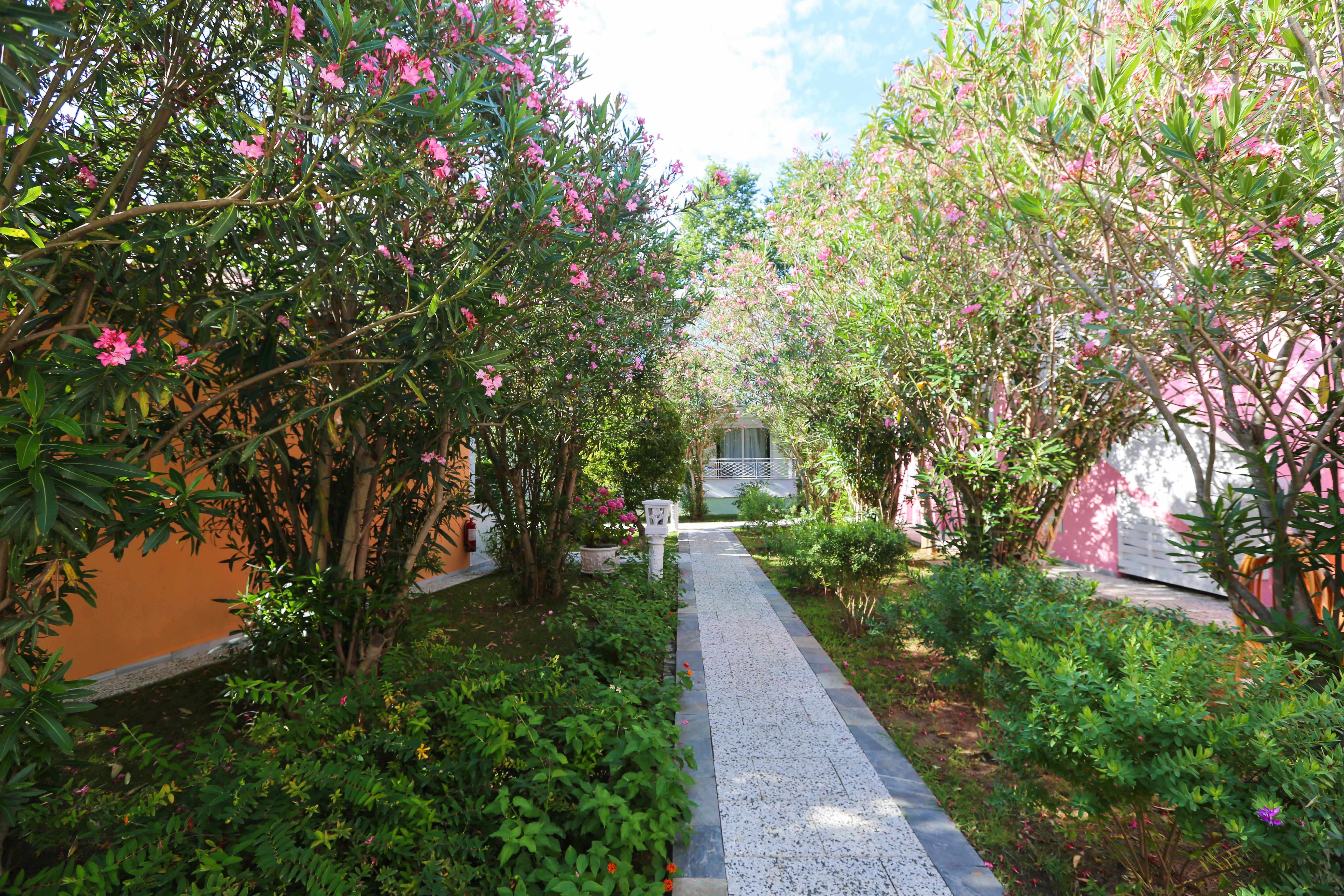 Mandraki Village Boutique Hotel Koukounaries Dış mekan fotoğraf